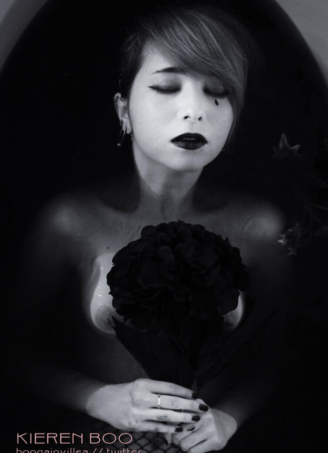 Boogainvillea star pretty photo