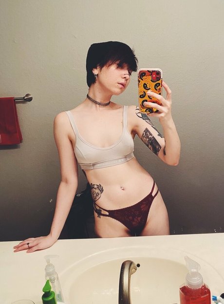 Boogainvillea star pretty gallery