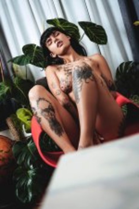 Dakota Wilder model beautiful picture