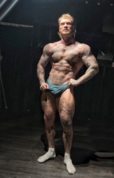 Therealvanillagorilla pornographic model picture