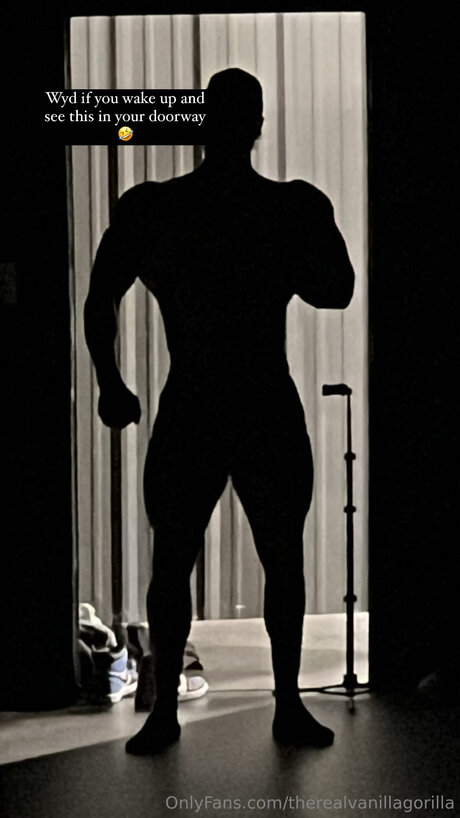 Therealvanillagorilla star sexy img