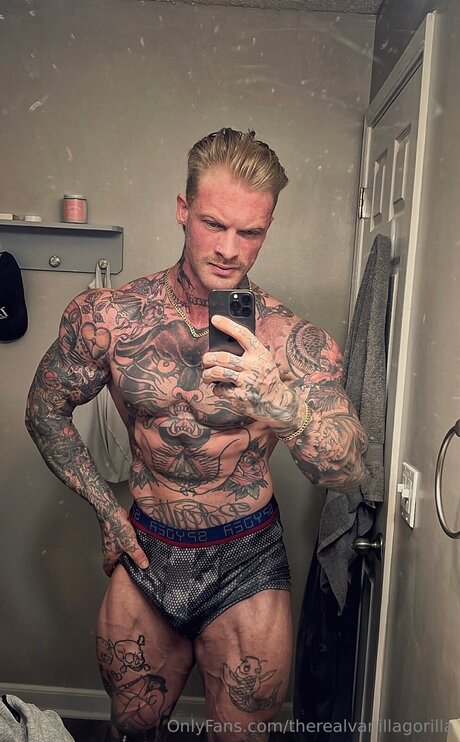 Therealvanillagorilla star perfect archive