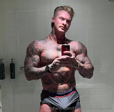 Therealvanillagorilla pornographic model images