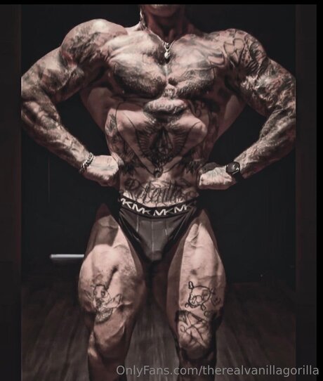 Therealvanillagorilla pornstar xxx picture