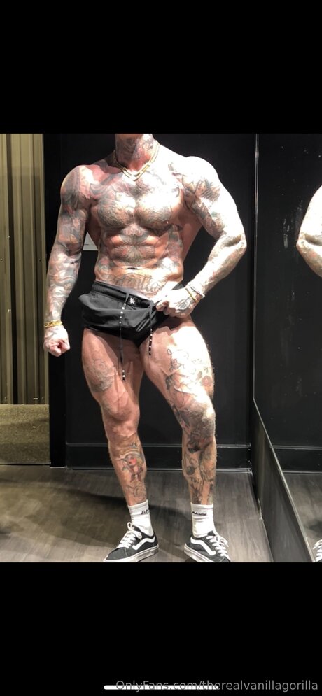 Therealvanillagorilla hot model archive