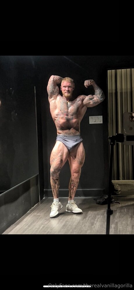 Therealvanillagorilla nudes pornstar pictures