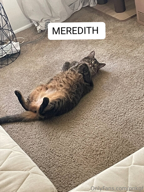 Pnkgf nudes pornstar image