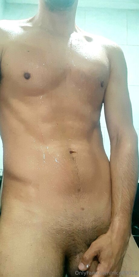 Nico89018 art actress photos