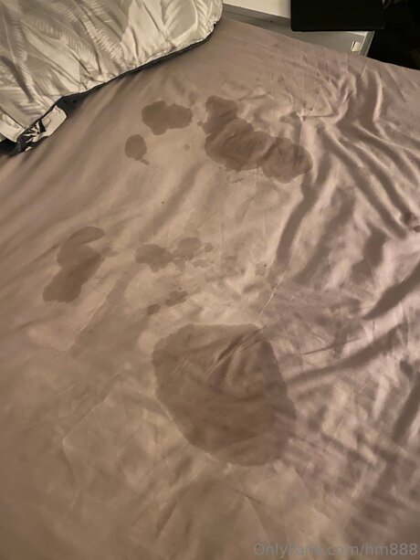 Hm888 adult model pictures