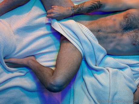 Saylorh exclusive pornstar img