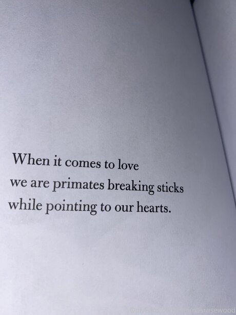 ebony summer onlyfans art nude images