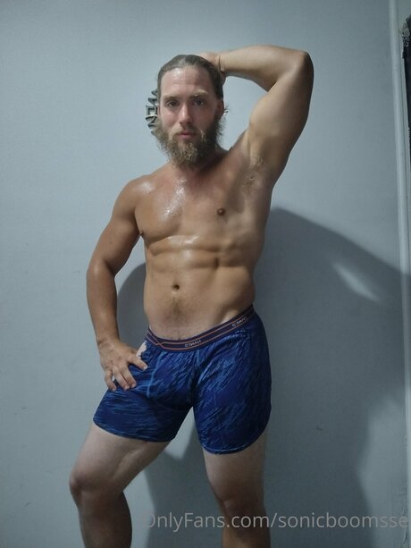 Sonicboomsse pornstar art img