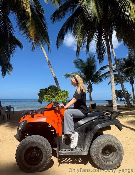 Polly Yangs pornstar sexy photos