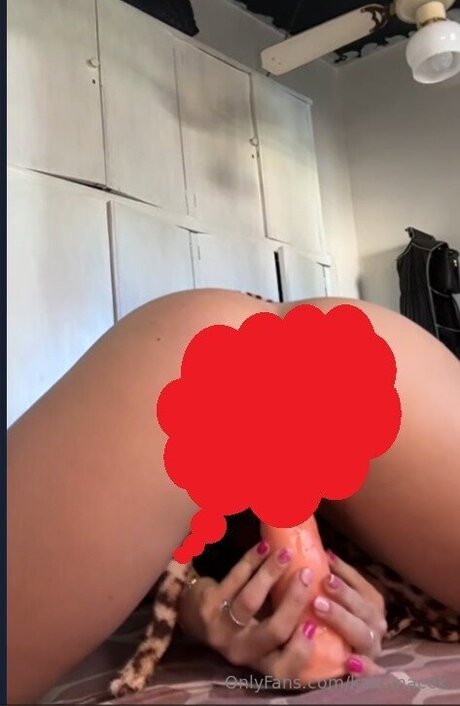 Kattmacek perfect model picture