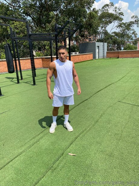 Gabo Sano1 star art pictures