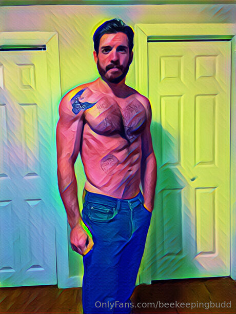 Cenryhavill free star galleries