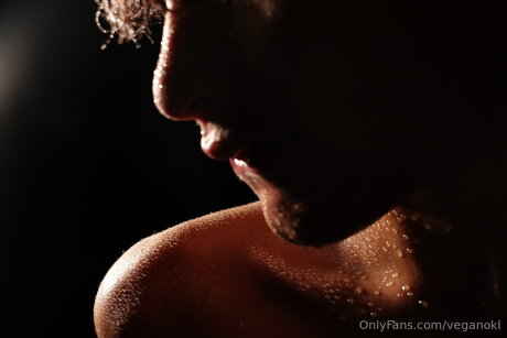 Despuesdelshow star sexy galleries