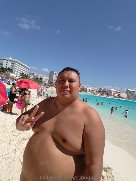 Ssbbgay perfect star img