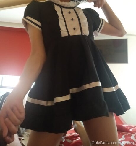 Mitzitrap star top photos