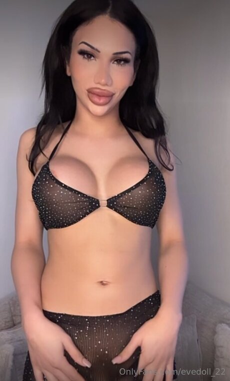 Evedoll 22 pornstar sex archive