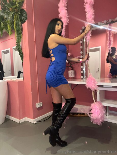 Shadyevefree porn actress photo