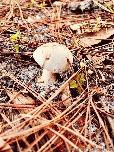 Cdrtroi Free nude actress image