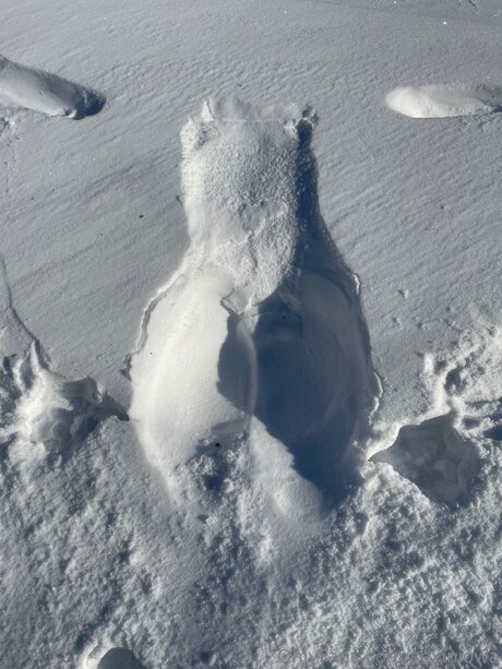 Sexiniowa exclusive model picture