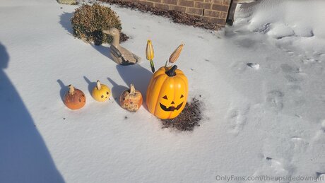 Theupsidedowngirl pornstar art galleries