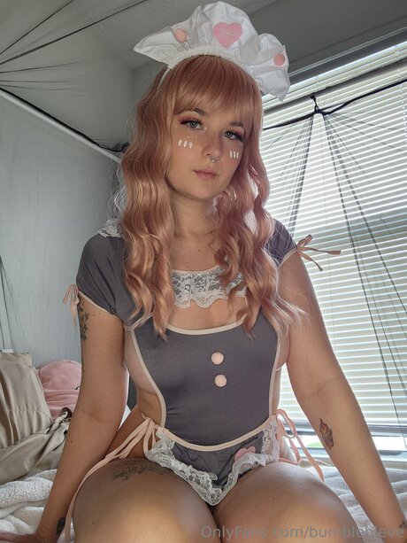 Bumblebieve model image