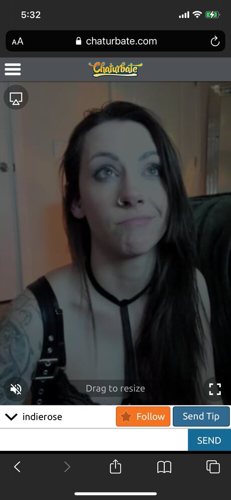 Indieroselive star picture