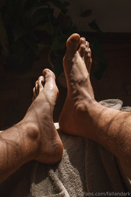 Fallandark star hot image