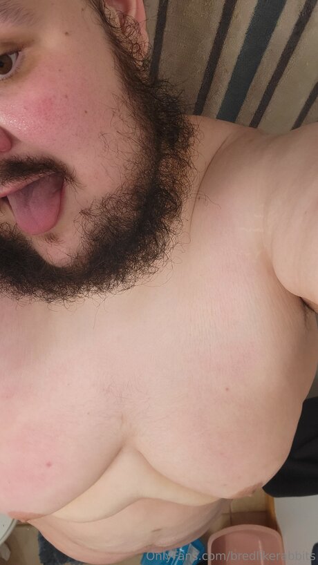 Bredlikerabbits free model img