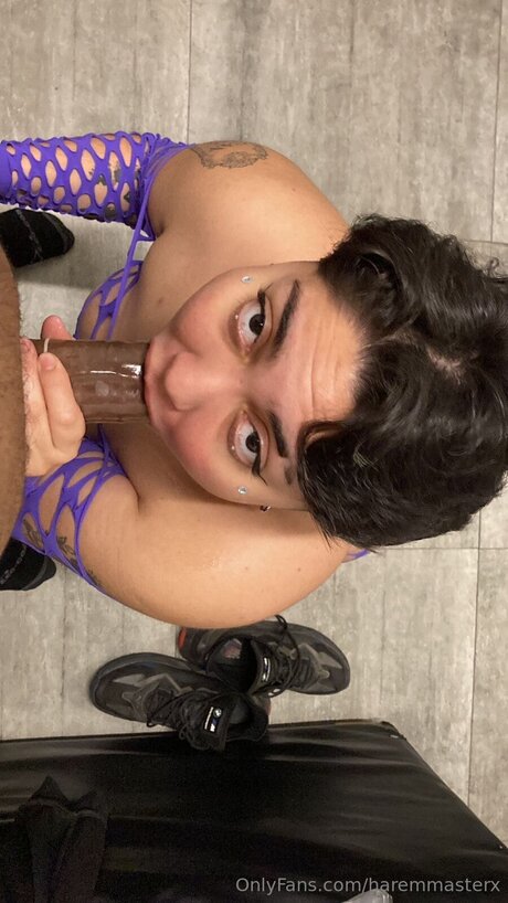 Haremmasterx star hot image