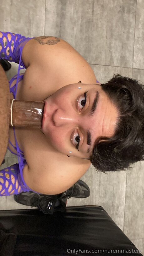 Haremmasterx art actress galleries