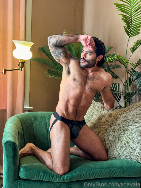Zhavala erotic pornstar photos