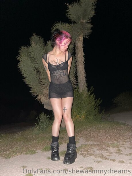 Shewasinmydreams star pornographic picture