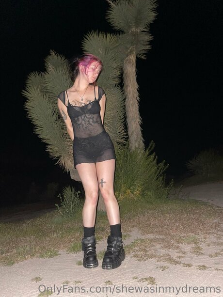 Shewasinmydreams adult model img