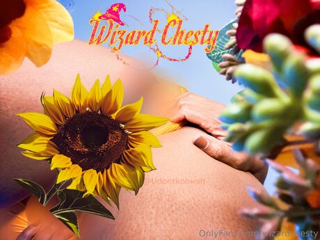 Wizardchesty hd actress gallery