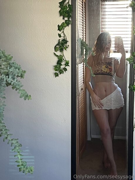 Secsysage perfect star images