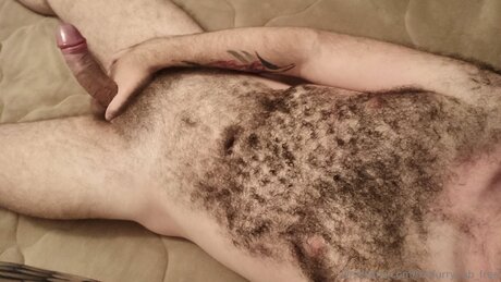 Thefurrycub Free beautiful star galleries