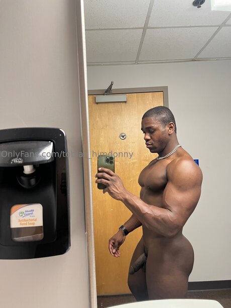 Tobias Himdonny top pornstar galleries