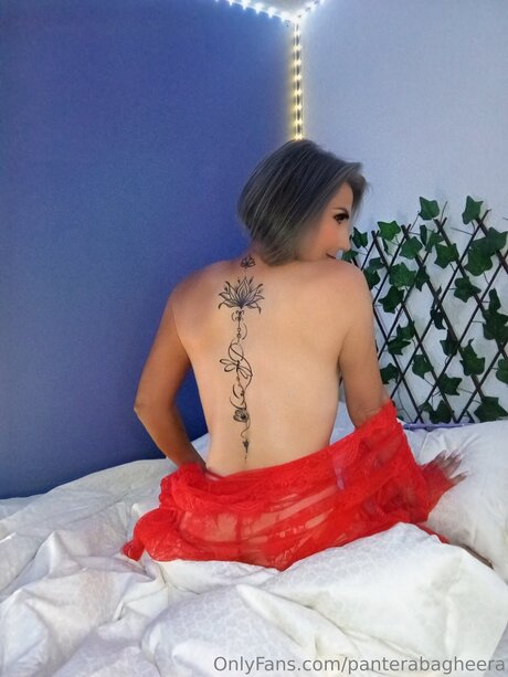 Panterabagheera pornstar perfect pics