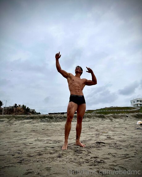 Obedmc model perfect images