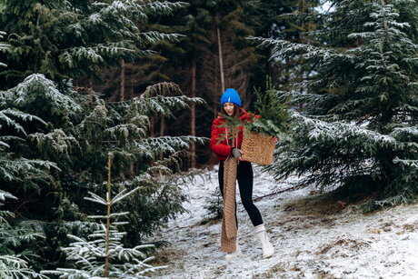 Larahook star best images