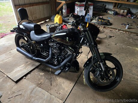 Bedellx pornstar sex gallery