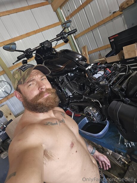 Bedellx perfect model images