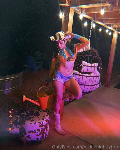 Nikkiknightlyfree art star pictures