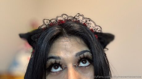 Kittymeowmeownow pornstar high quality gallery