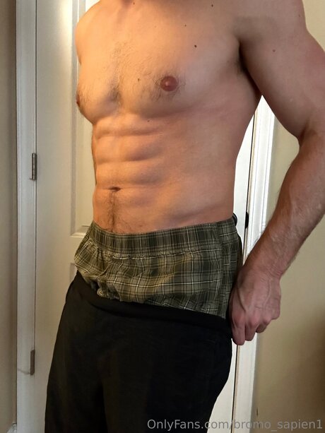 Bromo Sapien1 pornstar art img