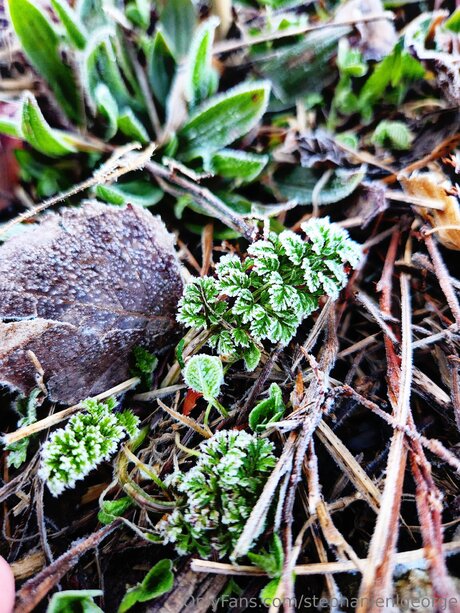 Stephanienlgeorge model pretty photos